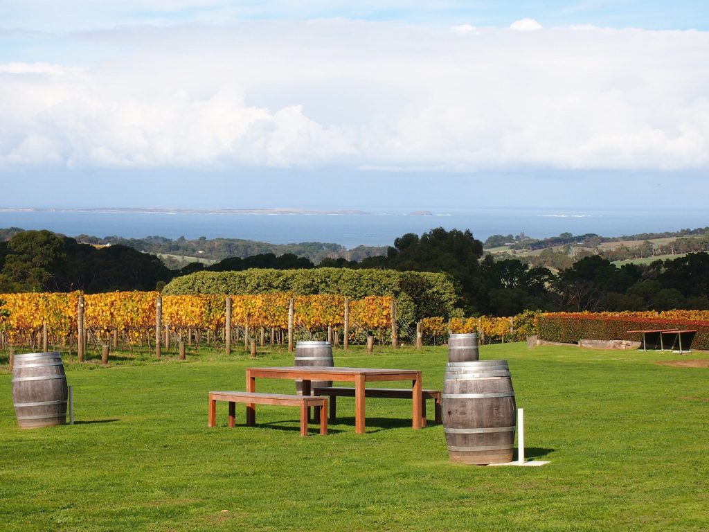 Mornington Peninsula Tour